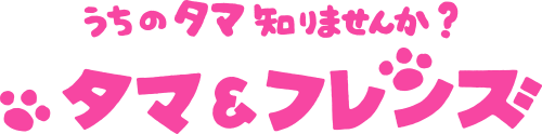 うちのタマ知りませんか？タマ＆フレンズ