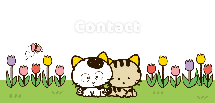 contact