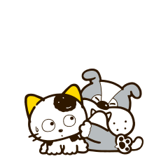 animation