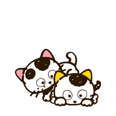 contact