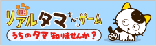 リアルタマさがしゲーム　うちのタマ知りませんか？